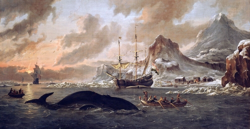 Hunting Wales near Spitsbergen